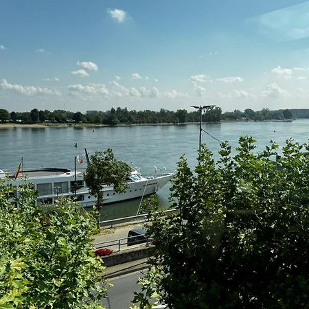 Rhein-Hotel נירשטיין מראה חיצוני תמונה