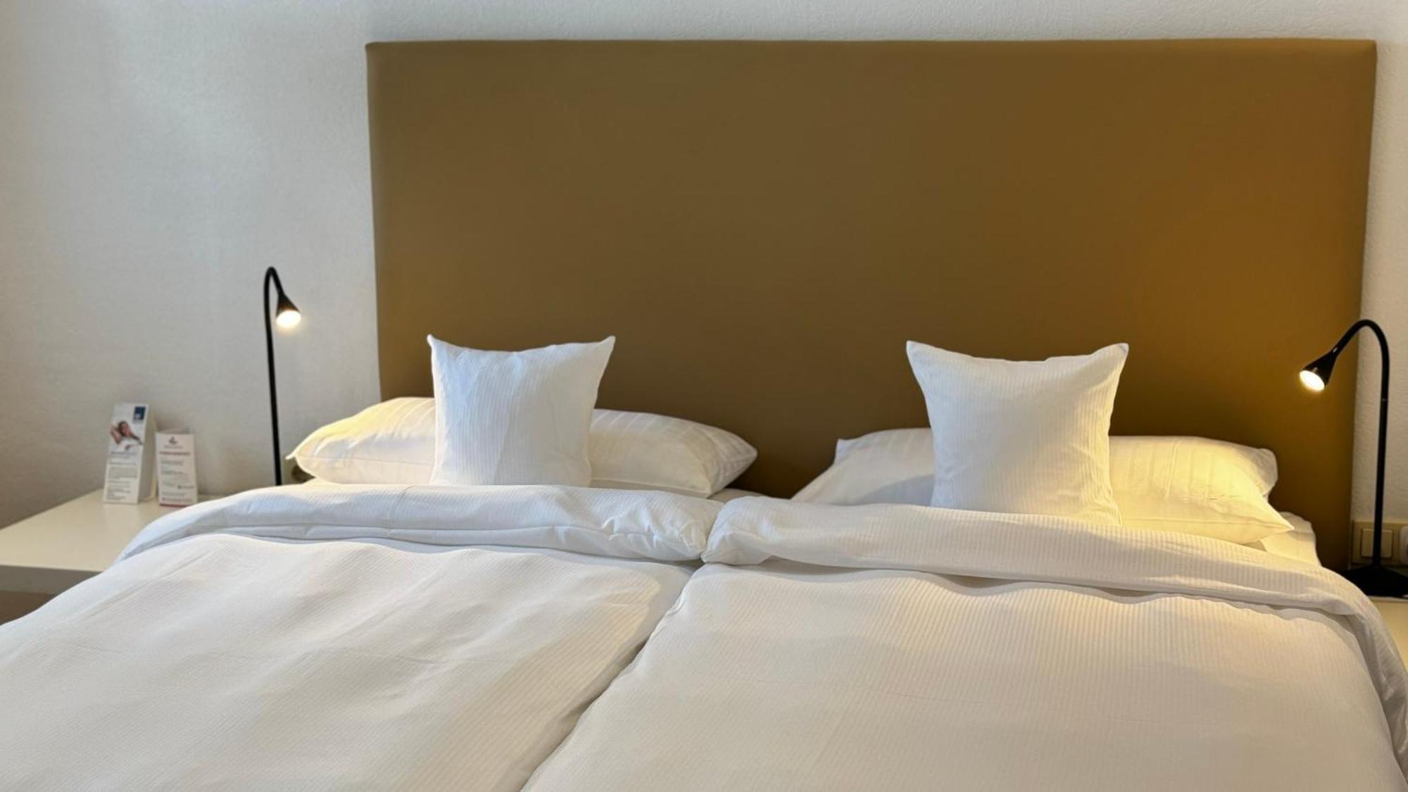 Rhein-Hotel נירשטיין מראה חיצוני תמונה